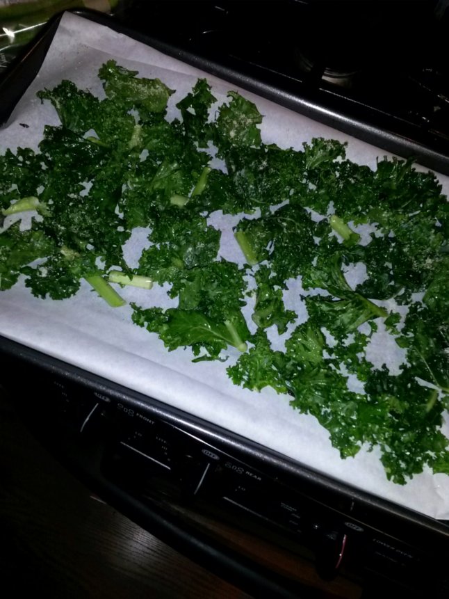 IMG_20140223_163742.jpg image