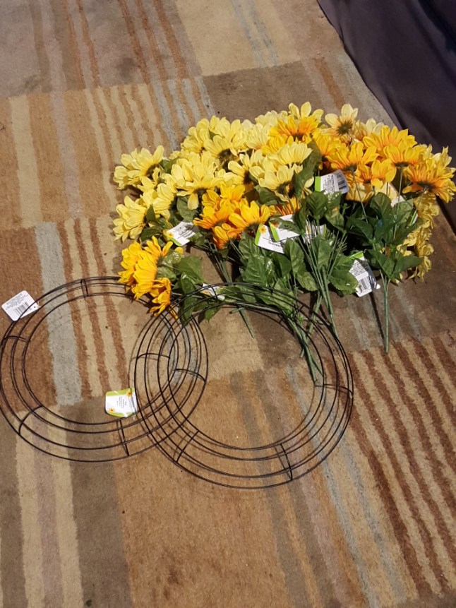 wp-1462951829733 image