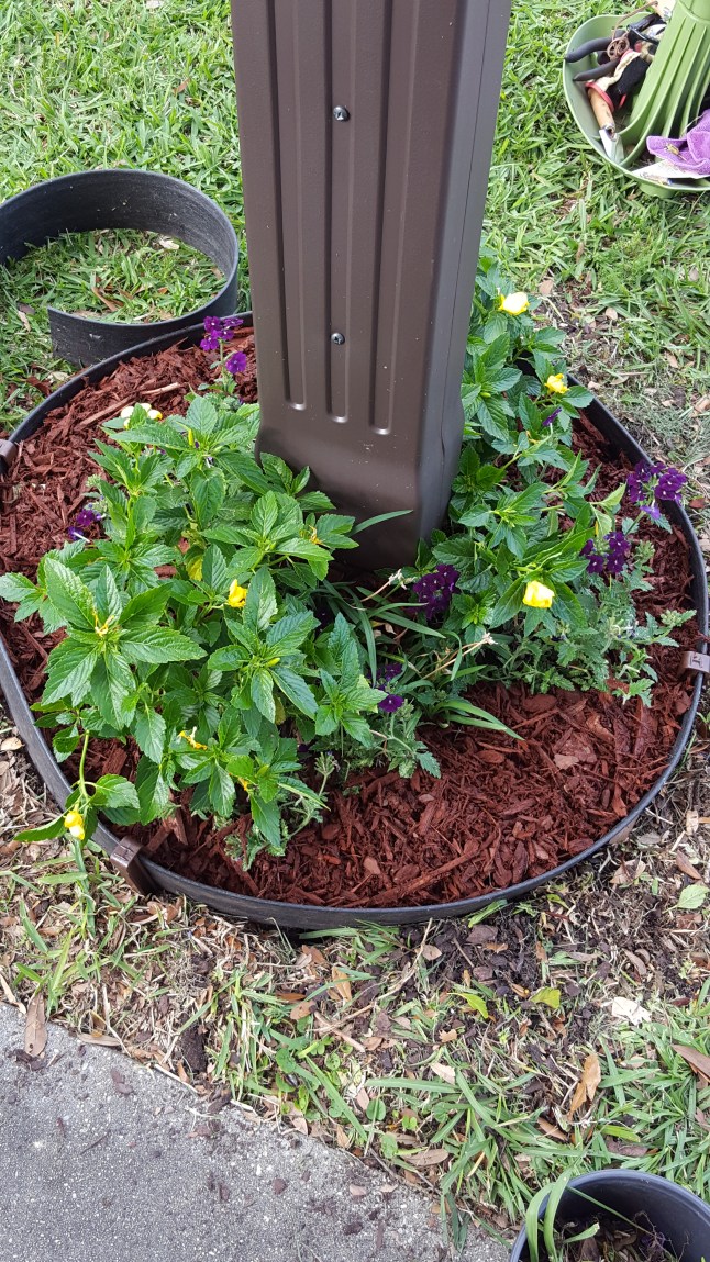 Mailbox Garden on FixItWithFran.com