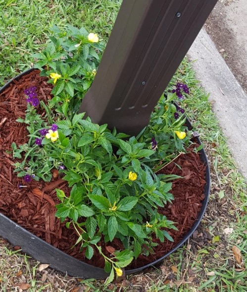 Mailbox Garden Initial