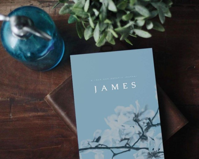 Love God Greatly - James Bible Study Group - Fix-It With Fran 