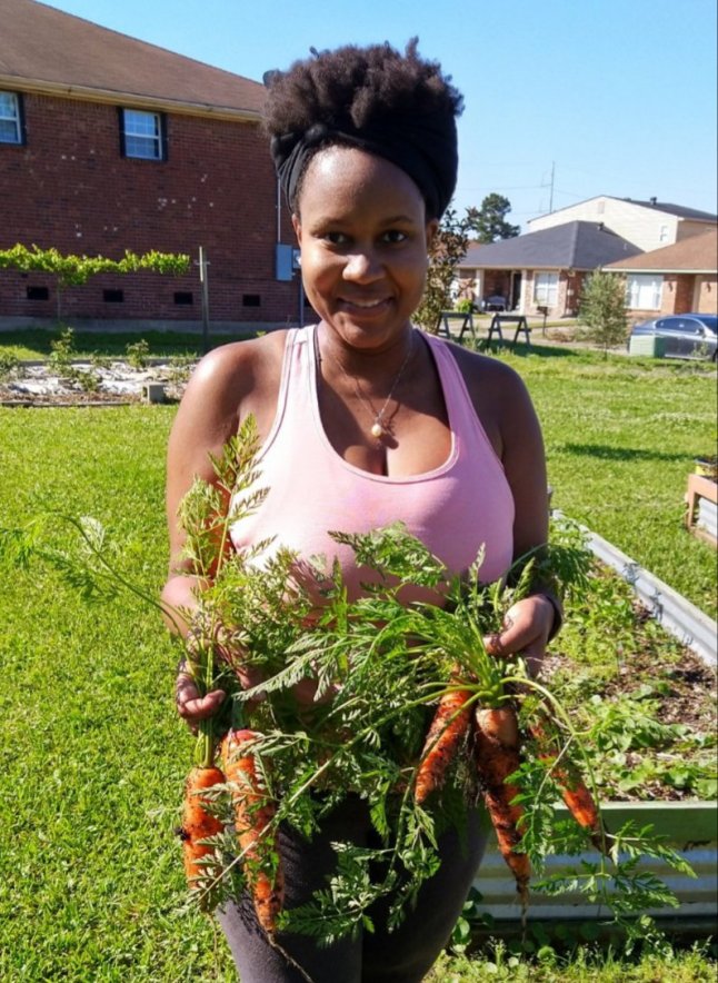 Harvesting Carrots